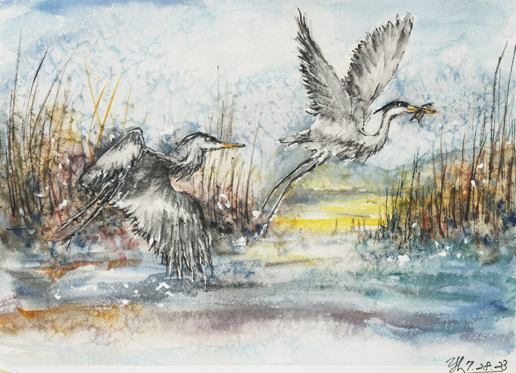 Crane Ascent 10.5x14