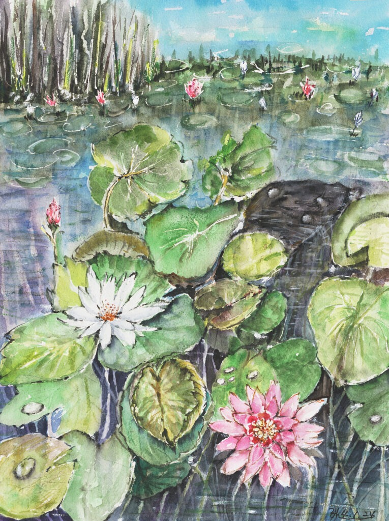 The Lotus Pond 16x12